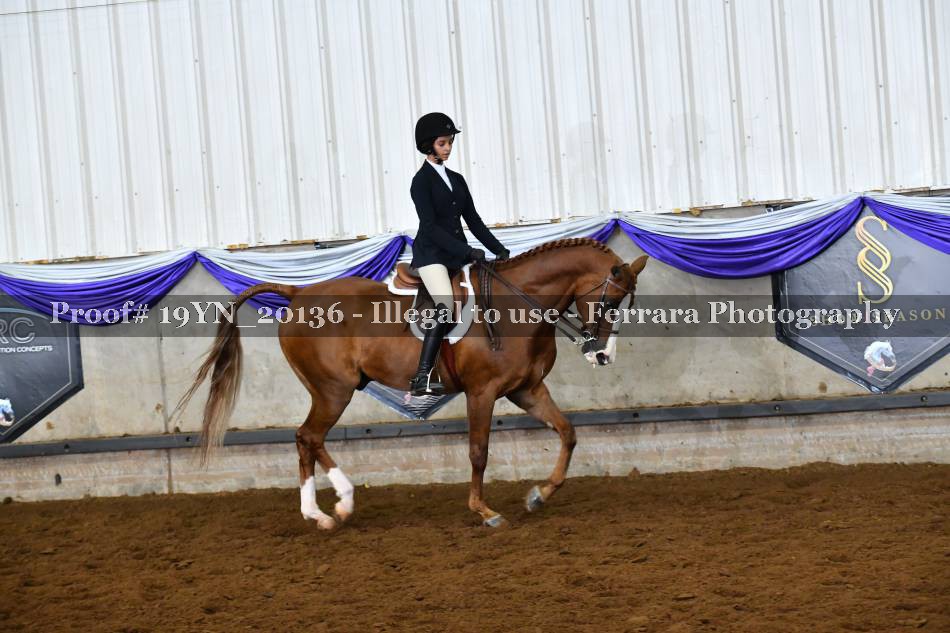 Proof 19YN_20136