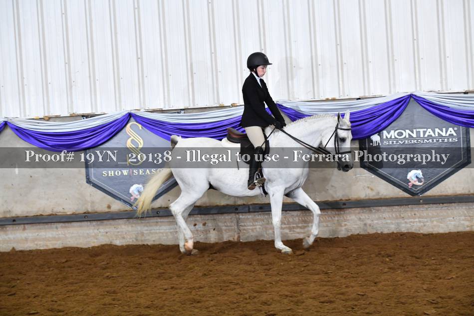 Proof 19YN_20138