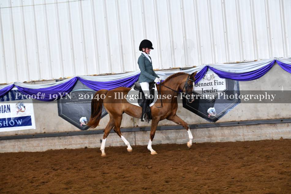 Proof 19YN_20140