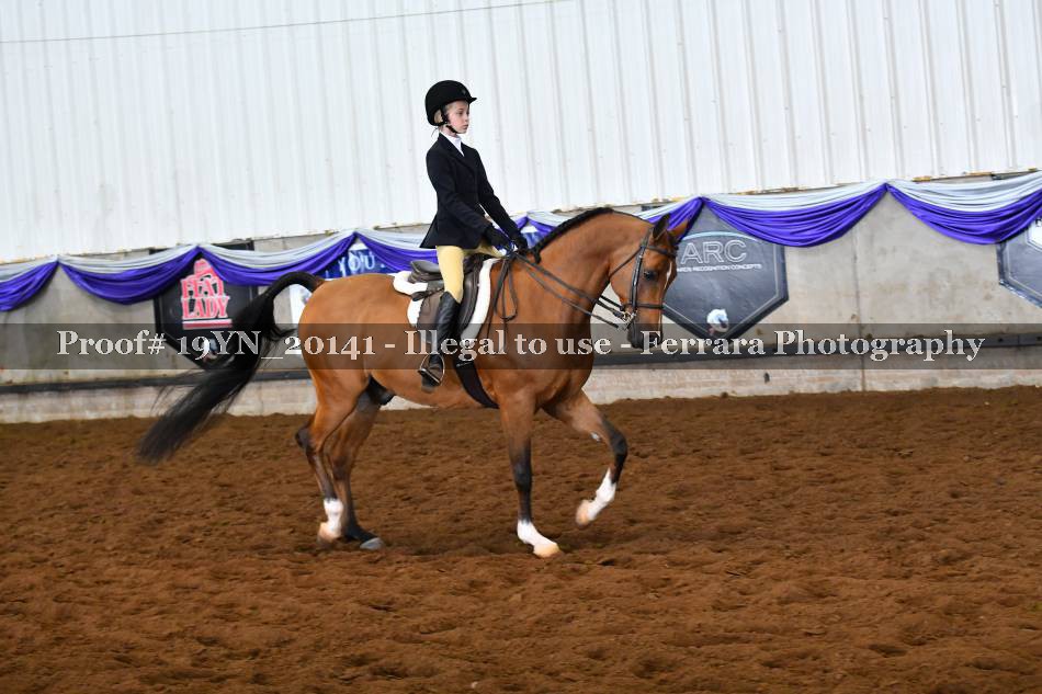 Proof 19YN_20141