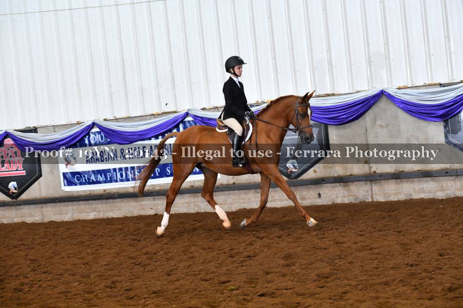 Proof 19YN_20143