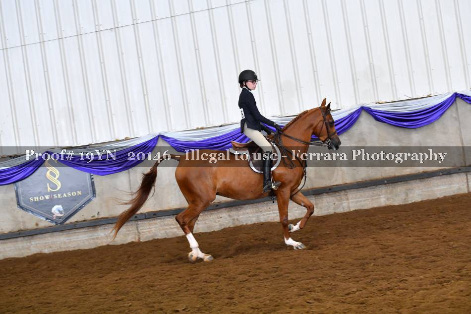 Proof 19YN_20146