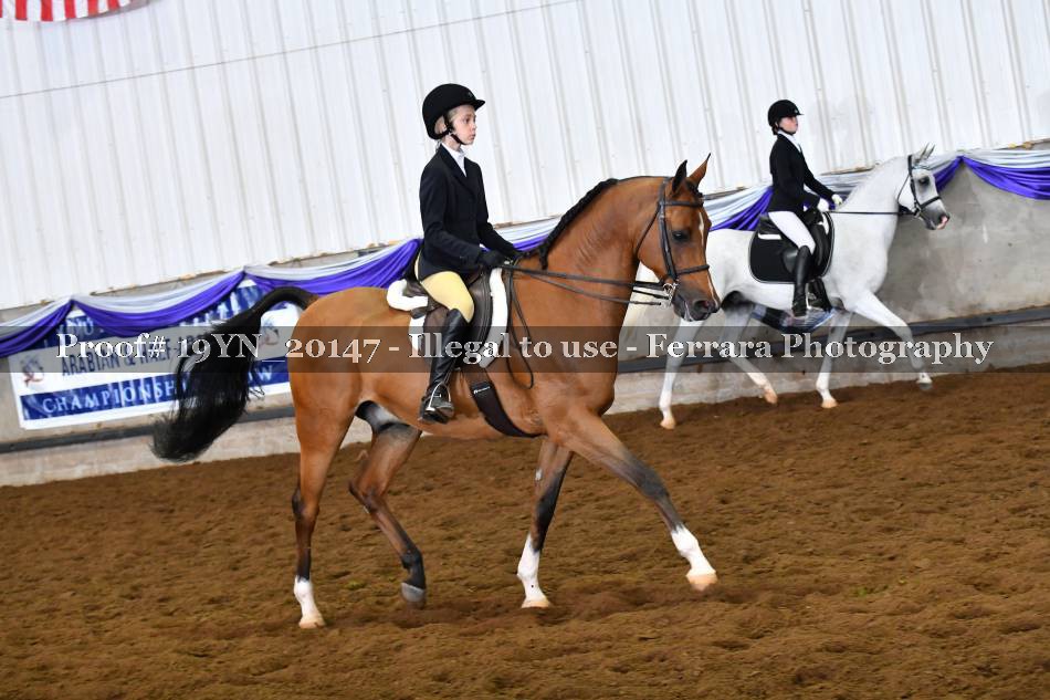 Proof 19YN_20147