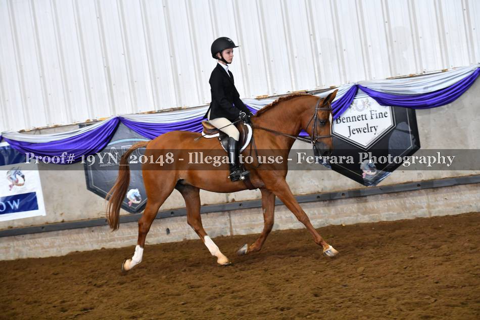 Proof 19YN_20148
