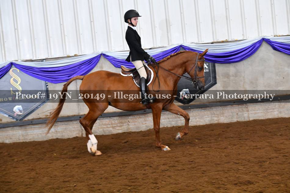 Proof 19YN_20149