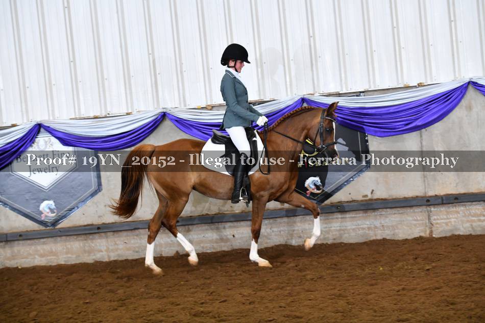 Proof 19YN_20152