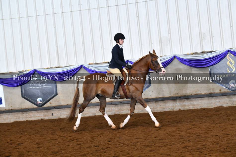 Proof 19YN_20154