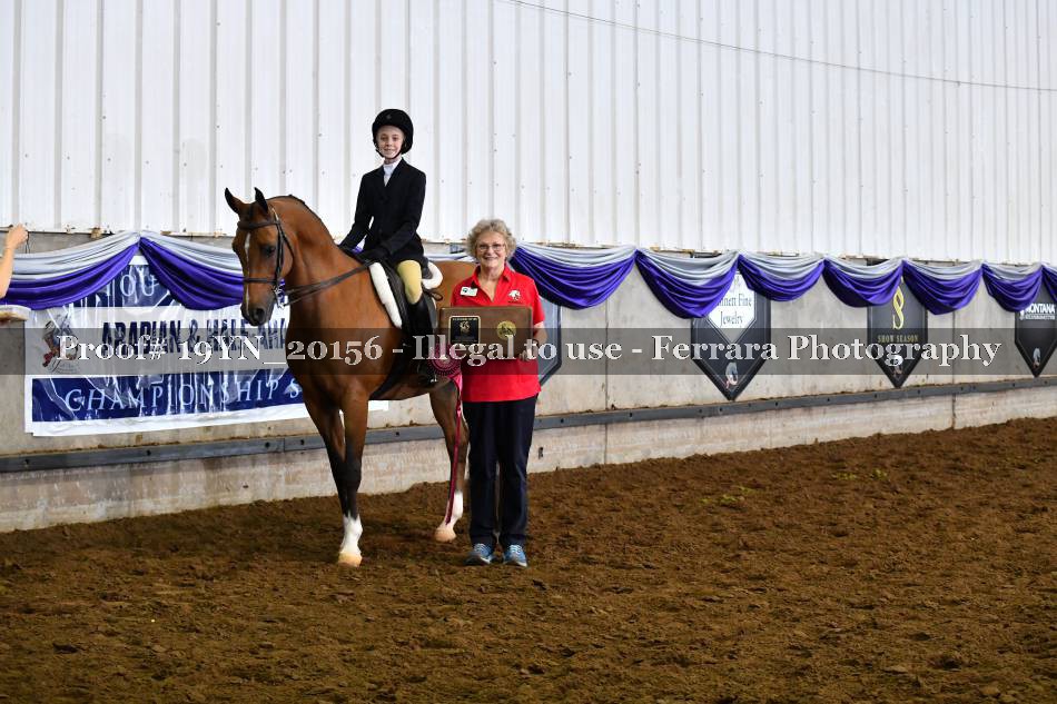 Proof 19YN_20156