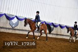 19YN_17216 proof