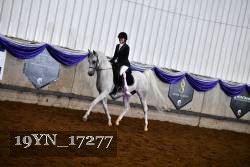 19YN_17277 proof