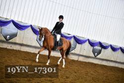 19YN_17301 proof