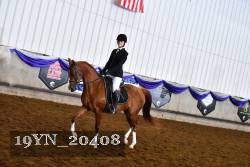 19YN_20408 proof