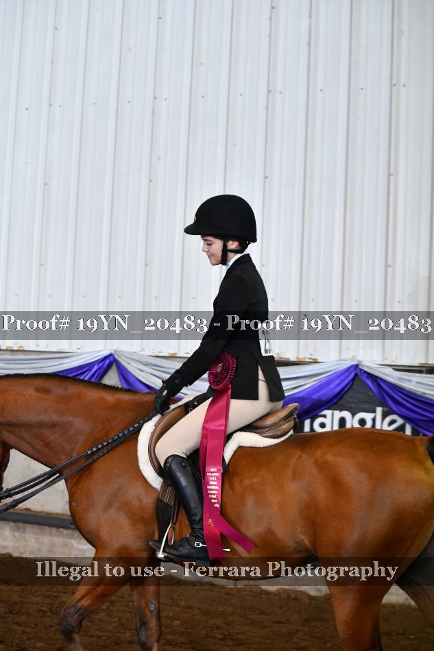 Proof 19YN_20483