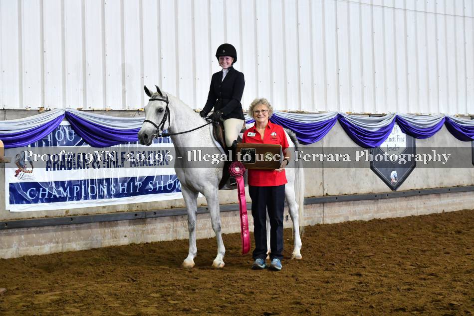 Proof 19YN_20496