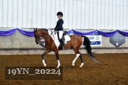 19YN_20224 proof