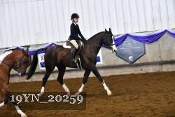 19YN_20259 proof