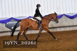 19YN_20261 proof