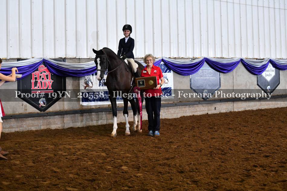 Proof 19YN_20558
