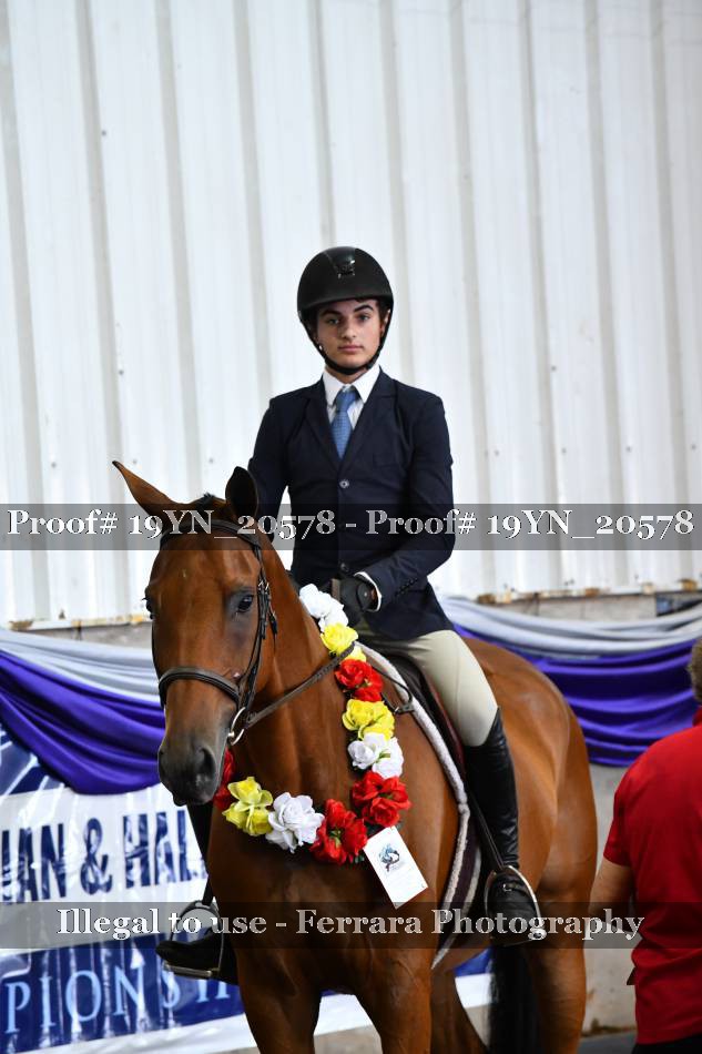 Proof 19YN_20578
