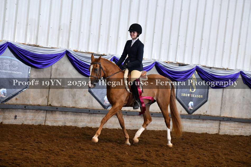 Proof 19YN_20594