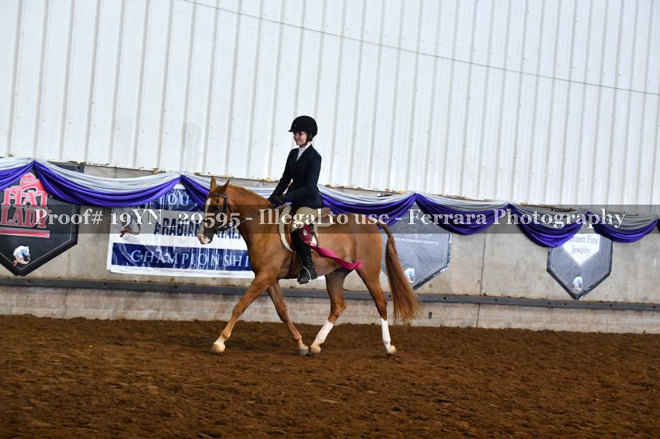 Proof 19YN_20595