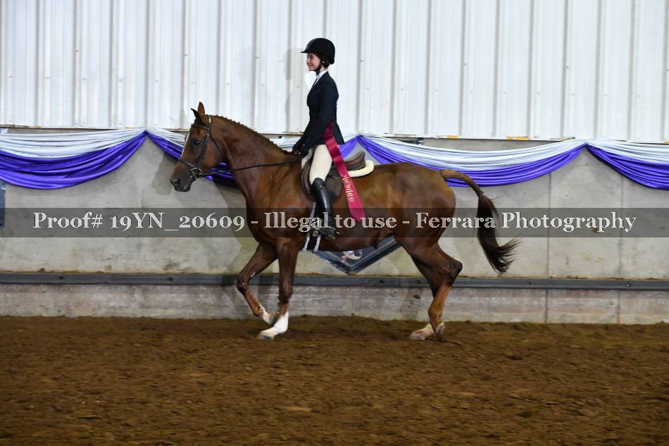 Proof 19YN_20609