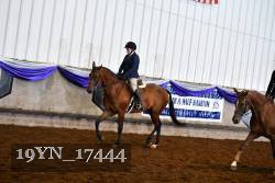 19YN_17444 proof
