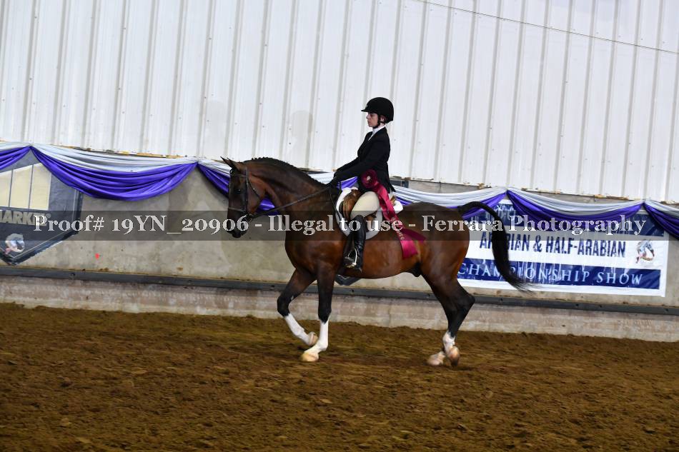 Proof 19YN_20906
