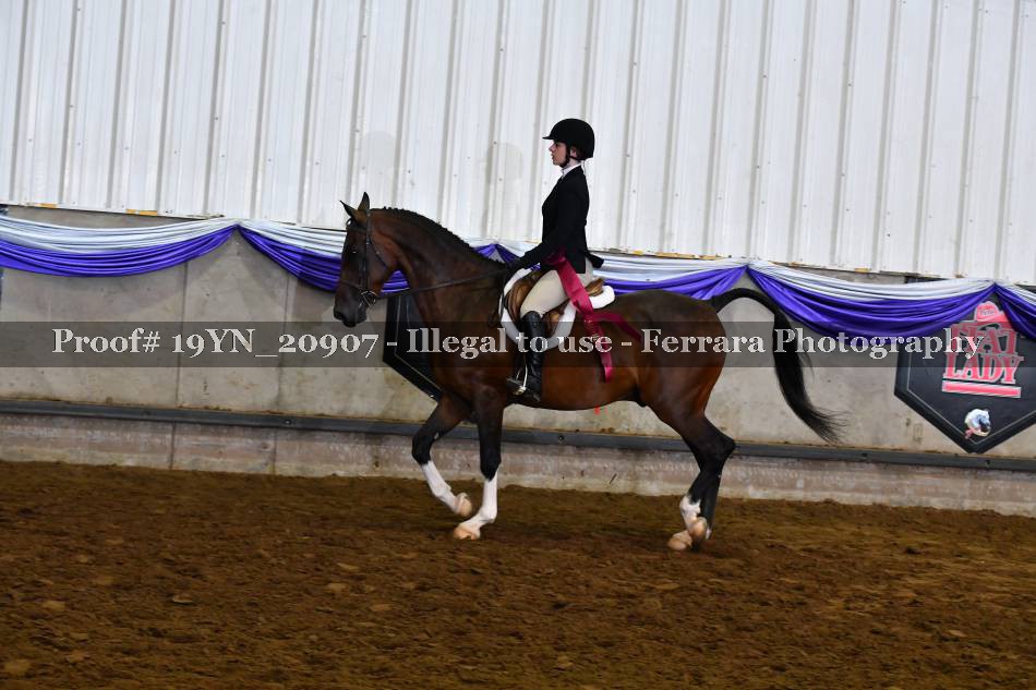 Proof 19YN_20907