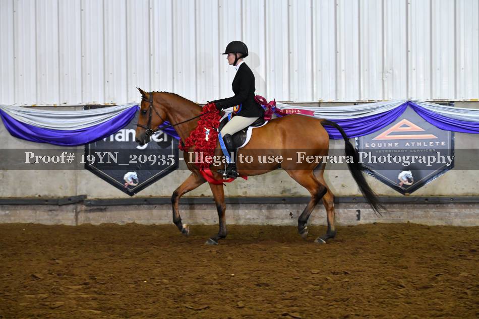 Proof 19YN_20935