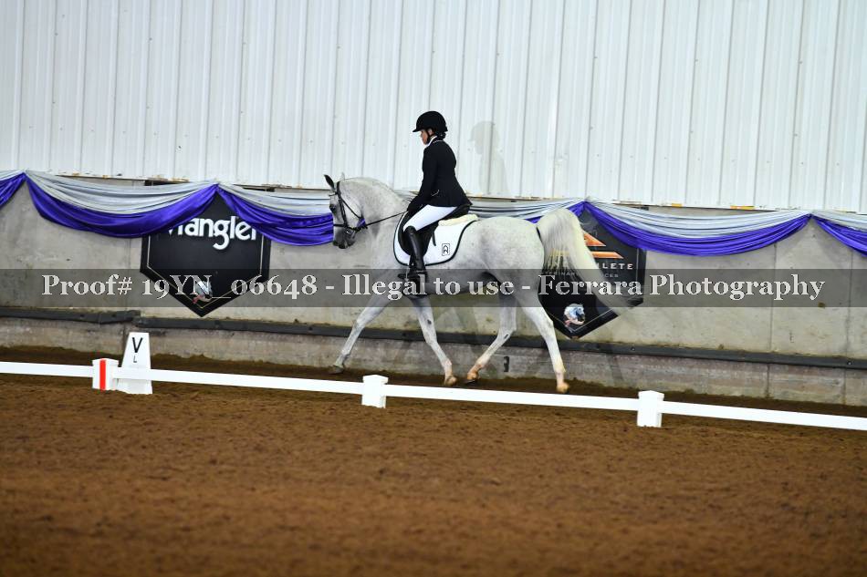 Proof 19YN_06648