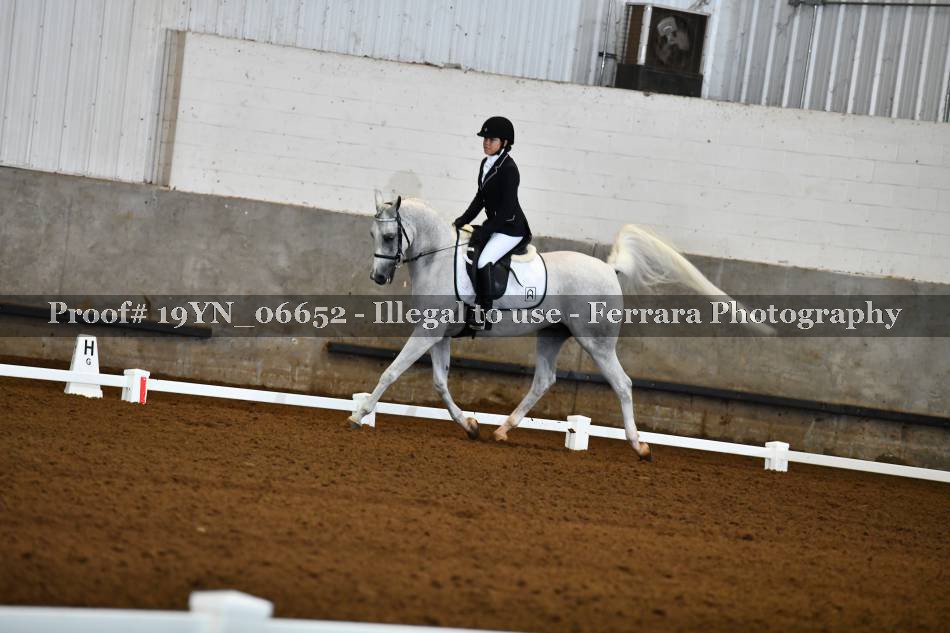 Proof 19YN_06652