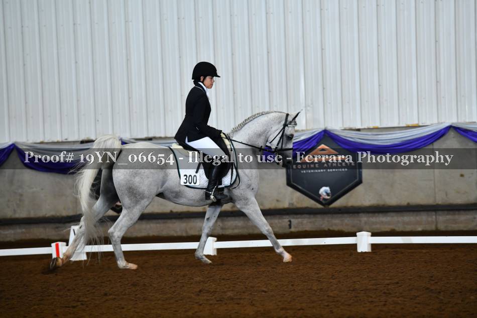 Proof 19YN_06654