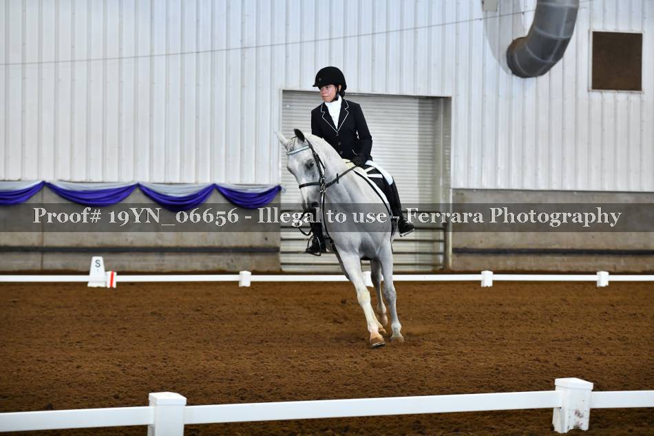 Proof 19YN_06656