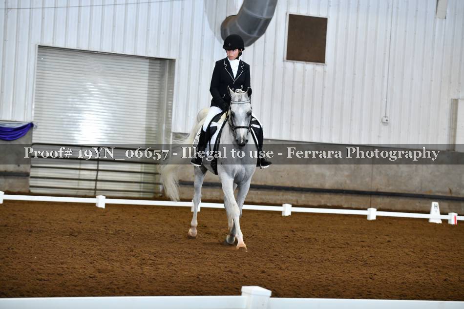 Proof 19YN_06657
