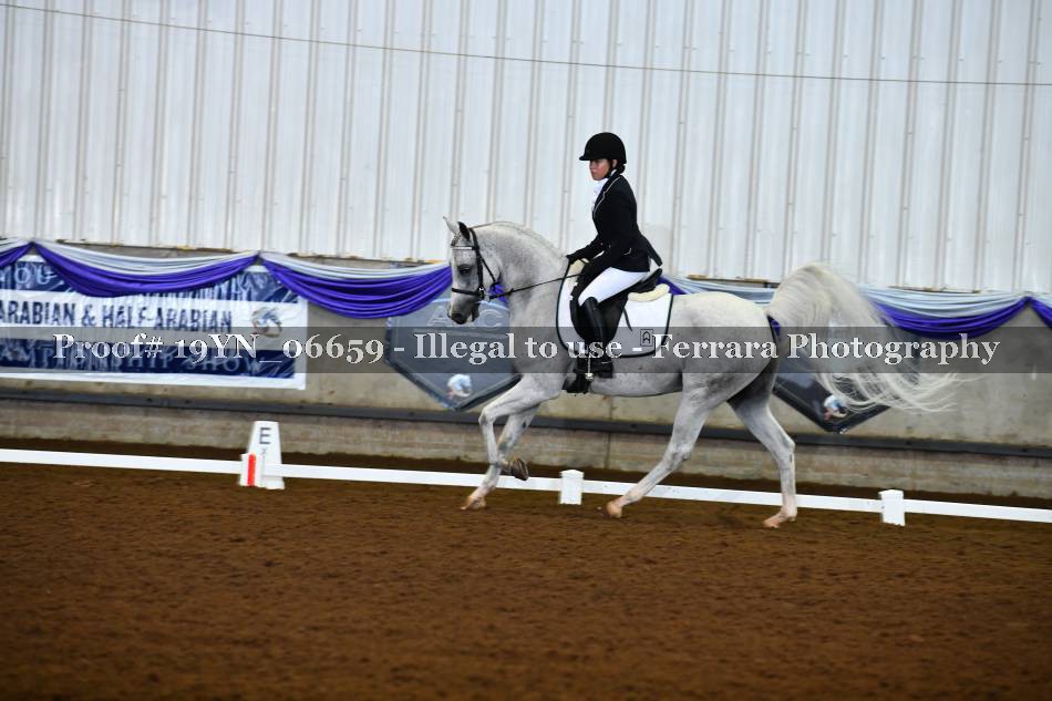Proof 19YN_06659