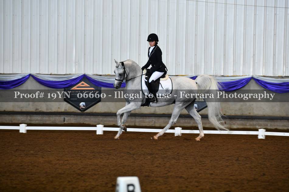 Proof 19YN_06660