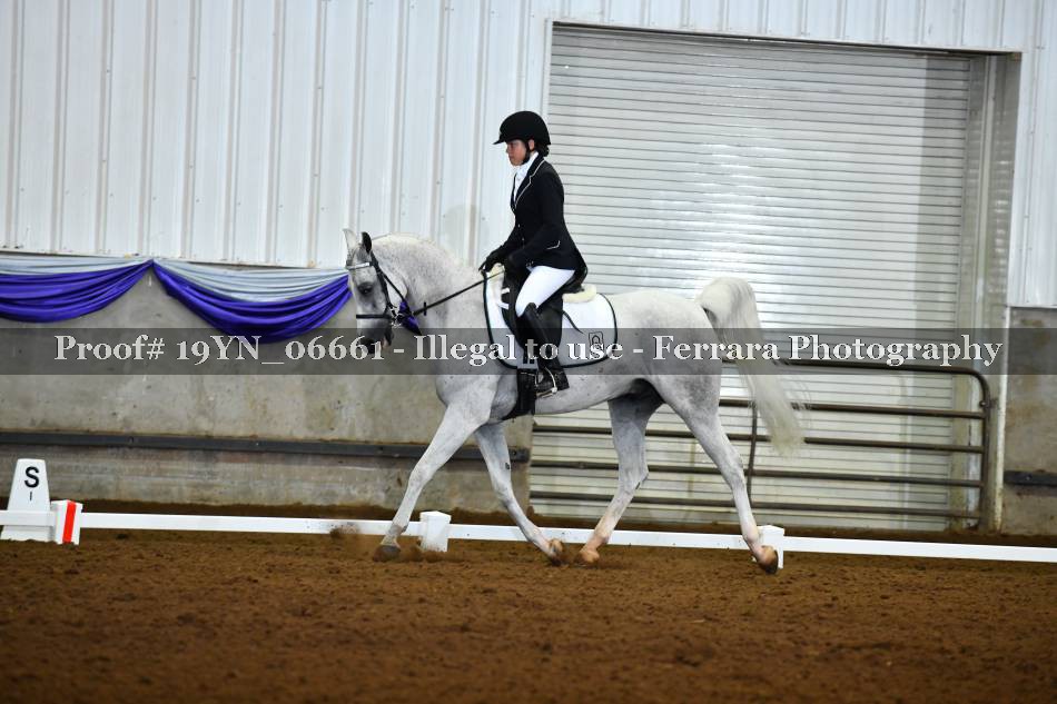 Proof 19YN_06661