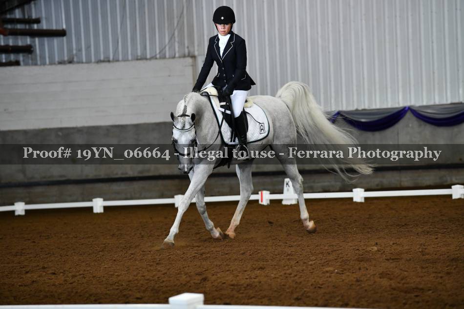 Proof 19YN_06664