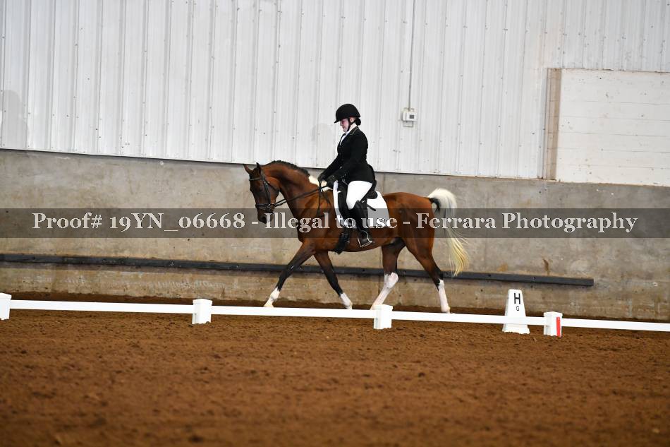 Proof 19YN_06668