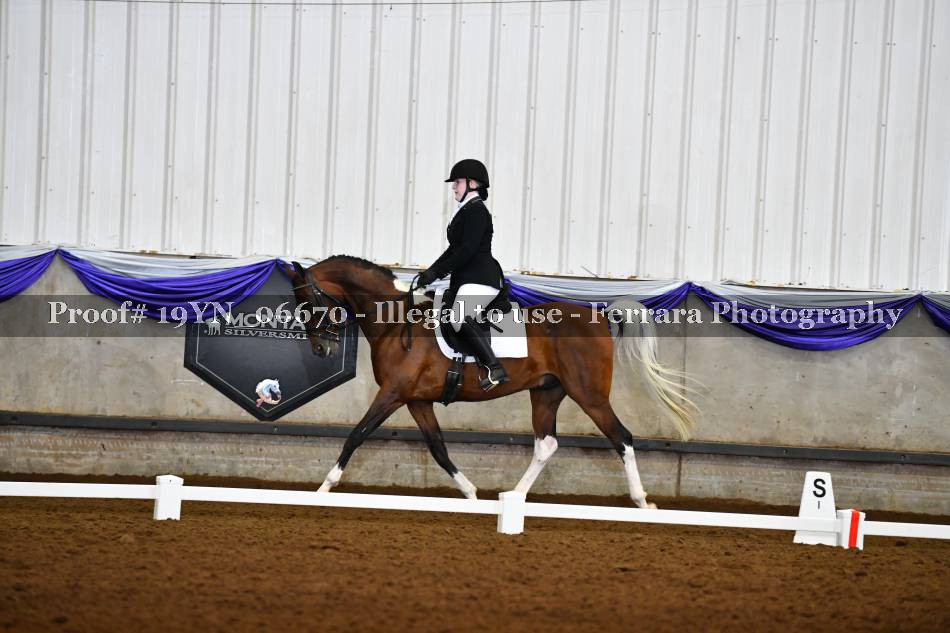 Proof 19YN_06670