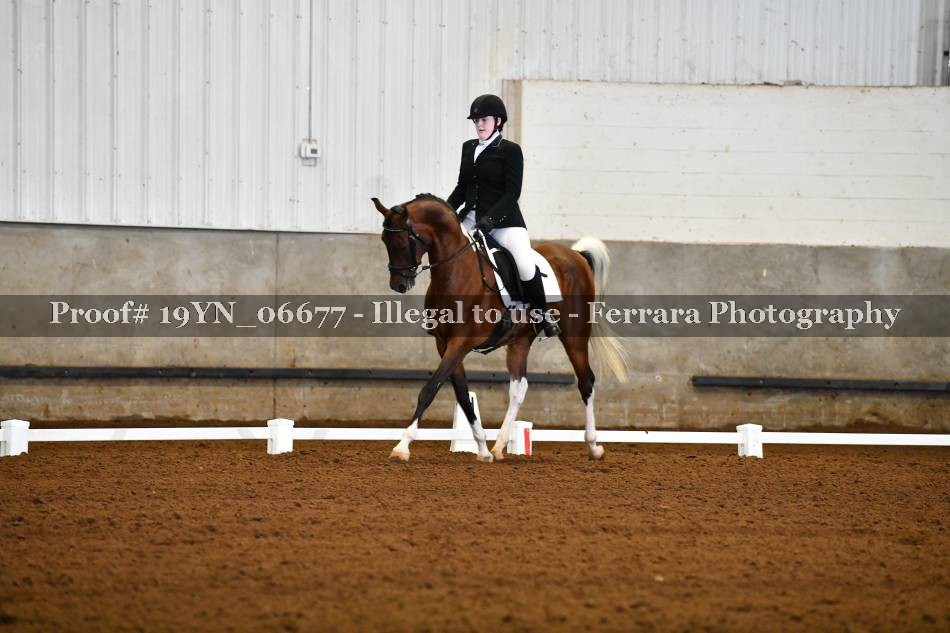 Proof 19YN_06677