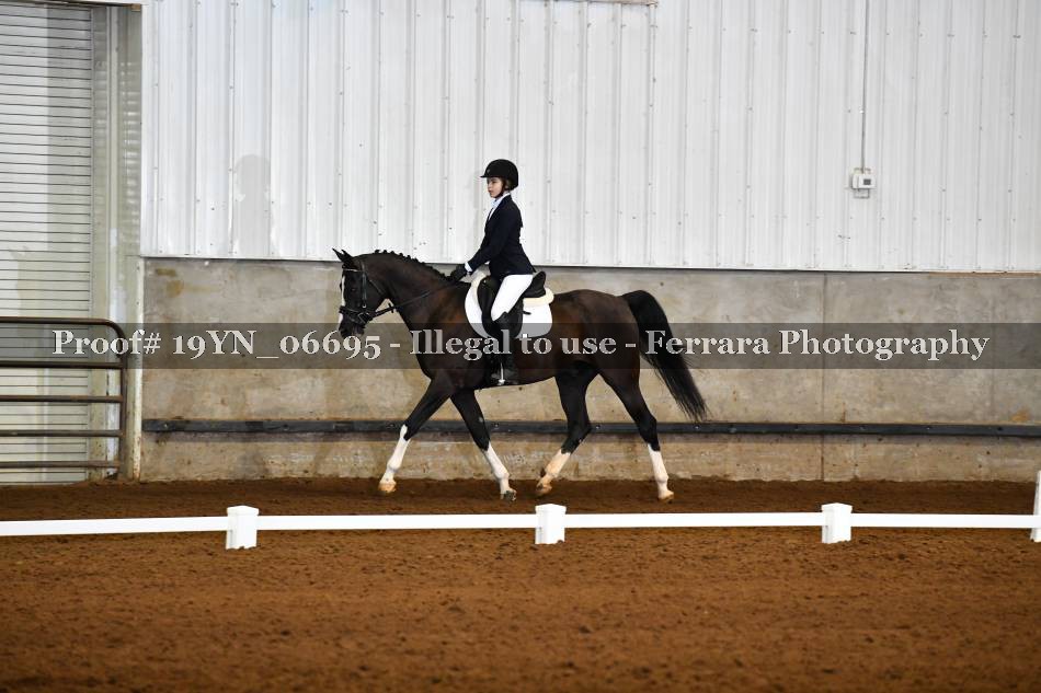 Proof 19YN_06695