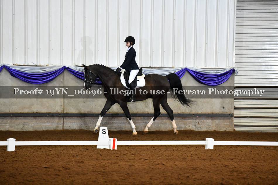 Proof 19YN_06696