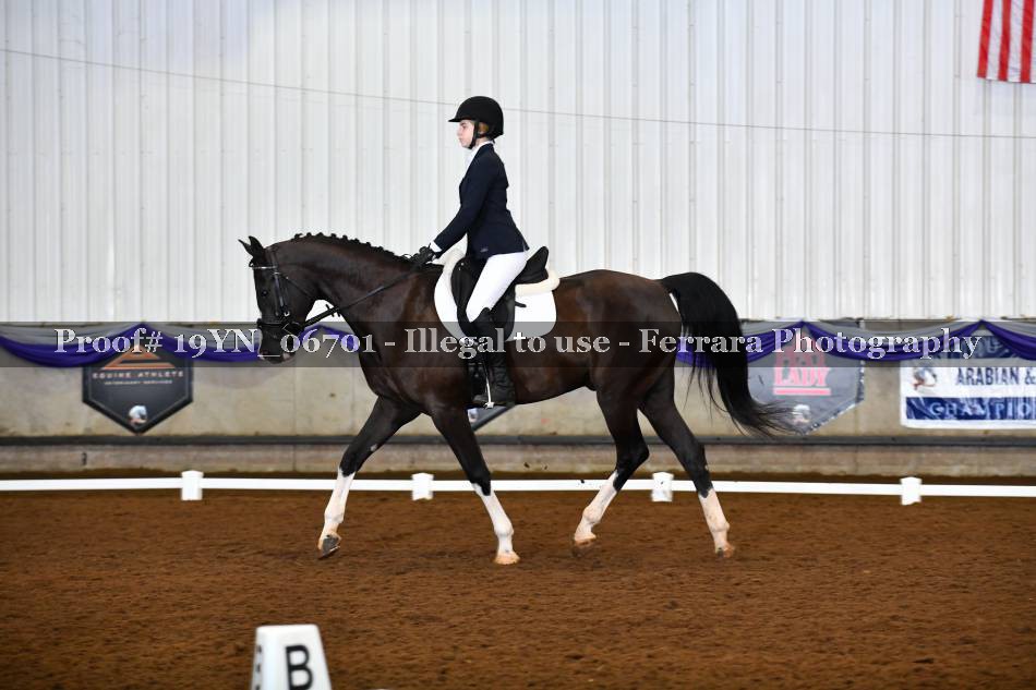 Proof 19YN_06701