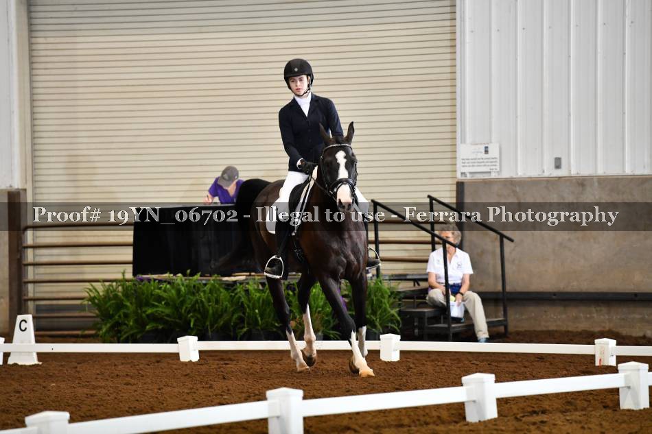 Proof 19YN_06702