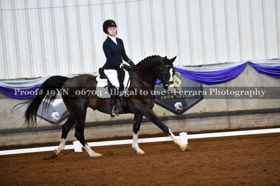 Proof 19YN_06703