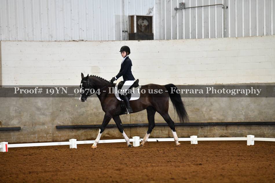 Proof 19YN_06704