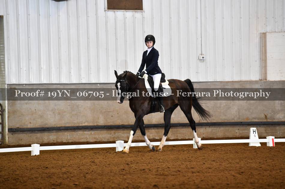 Proof 19YN_06705