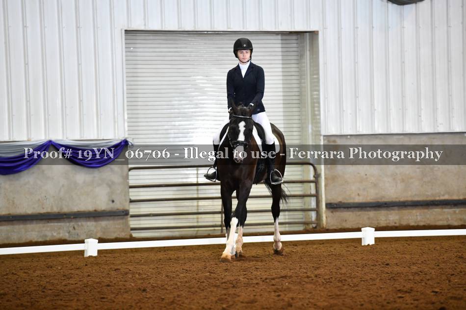Proof 19YN_06706